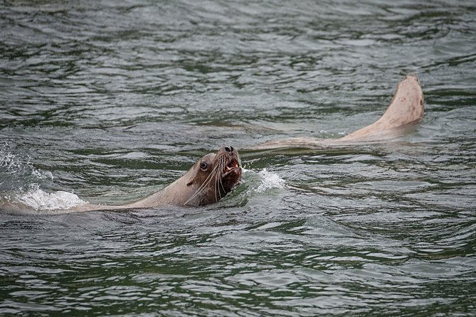 Private Photography Tour to Haines - Skagway Departure - Departure Details