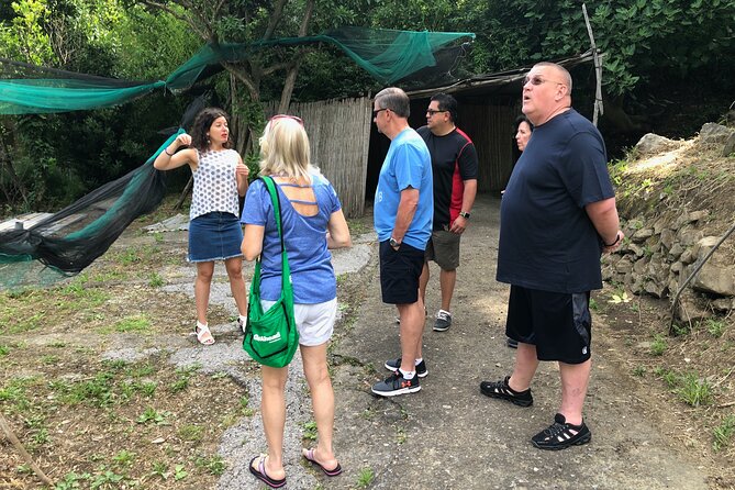 Private Pompeii Tour With Lunch and Olive Oil Factory Experience - Miscellaneous