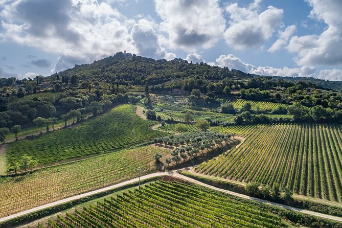 Private Premium Brunello Wine Tasting Tour & Food Pairing - Cancellation Policy