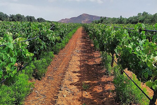 Private Premium Wine Tasting at Titakis Winery With Transfer - Directions to Titakis Winery