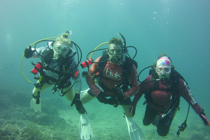 Private SCUBA Dive the Reefs of Key Largo for up to 8 Certified Divers - Expectations and Restrictions