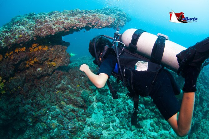 Private Scuba Diving Puerto Vallarta Undersea - Cancellation Policy