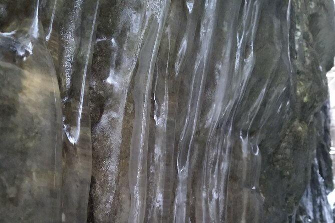 Private Singhampton Caves Snowshoe/Crampons, Collingwood/Blue Mtn - Important Information