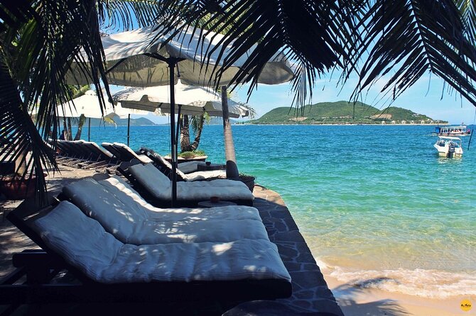 Private Snorkeling Guided Tour At Marine Protected Area Included Lunch - The Sum Up