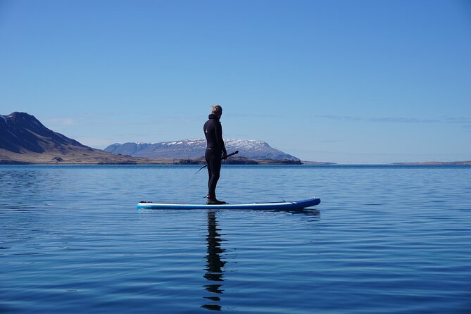 Private Stand Up Paddle Boarding Guided Activity in Hvalfjordur - Questions and Contact Information