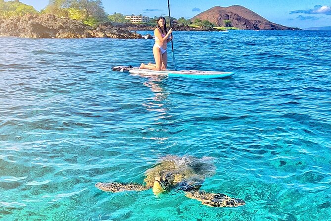 Private Stand Up Paddle Boarding Tour in Turtle Town, Maui - Cancellation Policy