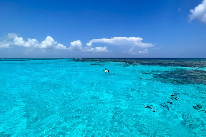 Private: Stingray City, Starfish, Snorkeling - 6 Guests - Reviews and Cancellation Policy