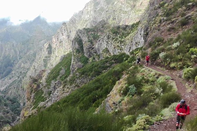 Private Sunrise Guided Hike on Pico Do Areeiro or Other Custom - Common Questions