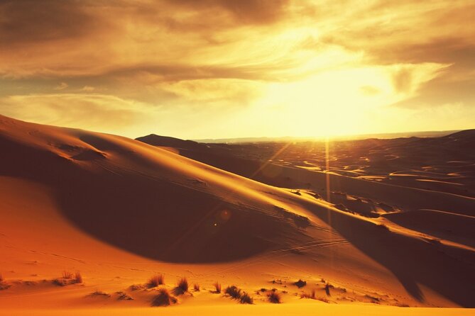 Private Sunrise Safari Tour in Abu Dhabi With Camel Ride - Private Tour Benefits