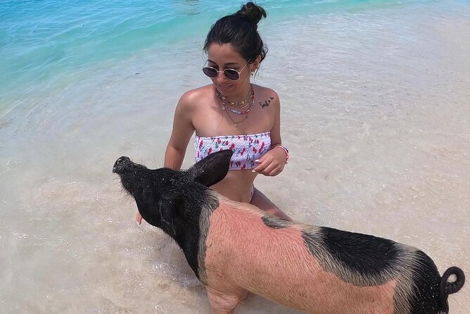 Private Swimming Pigs, Underwater Scooter/Turtles Excursion - Directions