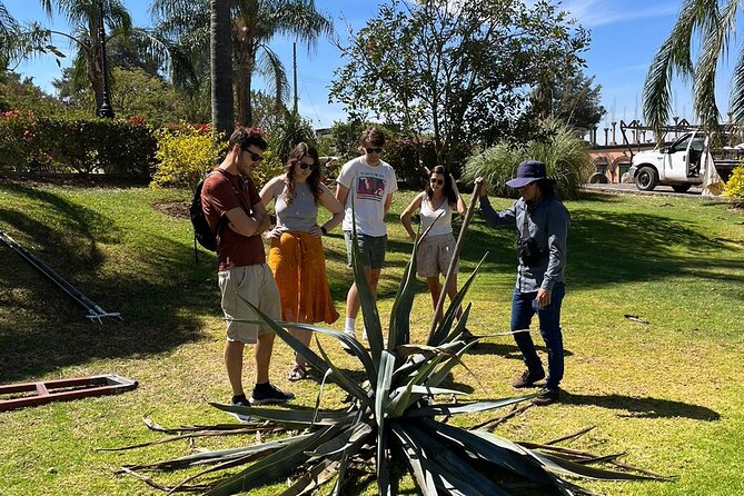 Private Tequila Route Day Trip From Guadalajara - Reviews