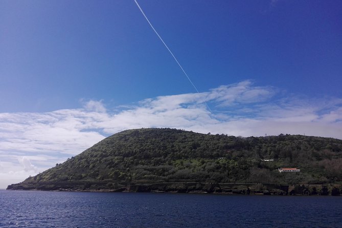 Private Terceira Island Full Day Tour - Traveler Information