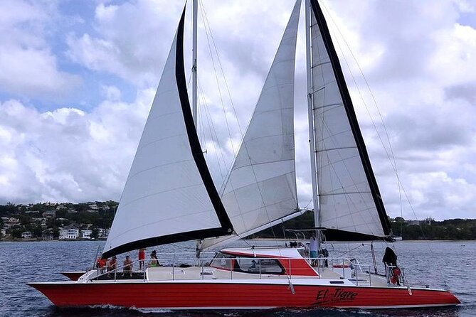Private Tour: Barbados Catamaran Snorkeling Cruise - Common Questions