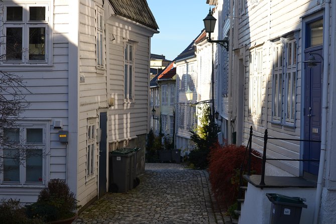 PRIVATE TOUR: Bergen City Sightseeing, 3 Hours - The Sum Up