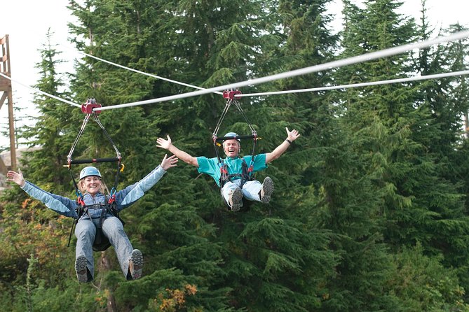 Private Tour: Capilano Suspension Bridge and Grouse Mountain - Testimonials and Reviews