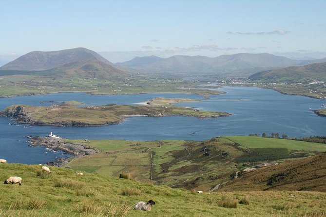 Private Tour Dingle Ring & Slea Head Drive - Questions and Contact Information