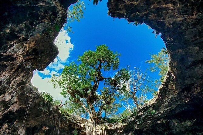 Private Tour: Homun Cenotes Day Trip - Overall Experience