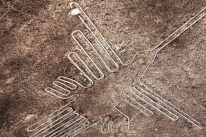 Private Tour in Nazca Lines Huacachina Oasis With Wine Tasting - Pricing and Group Size Options