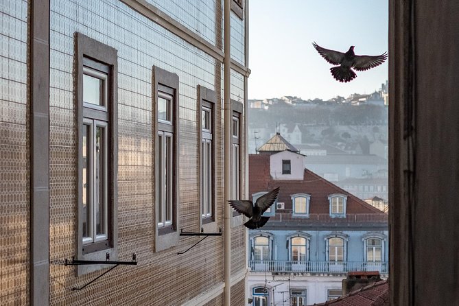 Private Tour - Lisbon Walking Tour With a Photographer - Additional Information and Support