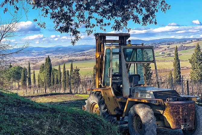 Private Tour: Montalcino Wine Tasting Experience - Additional Information