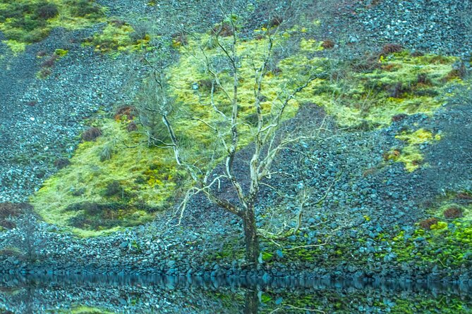 Private Tour of Highlands, Oban, Glencoe, Lochs & Castles From Glasgow - Customization, Flexibility, and Memorable Experiences