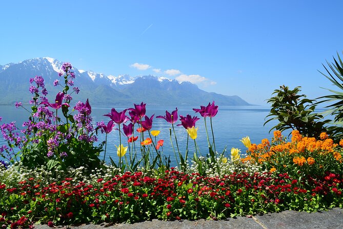 Private Tour of the Best of Geneva - Sightseeing, Food & Culture With a Local - The Sum Up