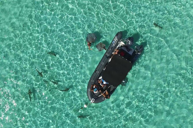 Private Tour of the Tahitis Lagoon by Boat Until 7 Pax - Important Booking Details
