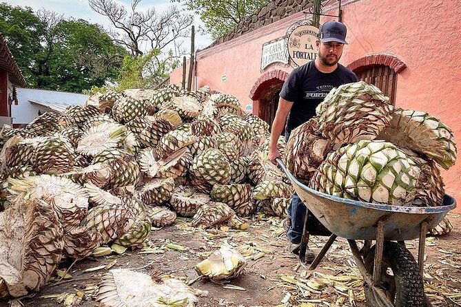 Private Tour One Day in Guachimontones and La Fortaleza Distillery - Tasting the Finest Tequilas at La Fortaleza