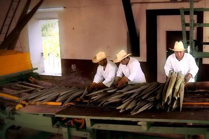 Private Tour: Sotuta De Peon Hacieda Day Trip - Meeting and Pickup Details