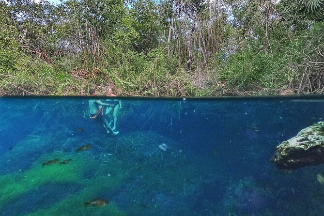 Private Tour The Best Cenotes in Tulum Riviera Maya - Positive Reviews of Private Tour Experience