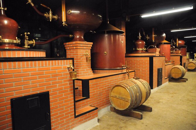 Private Tour to Cognac From Bordeaux - Reviews