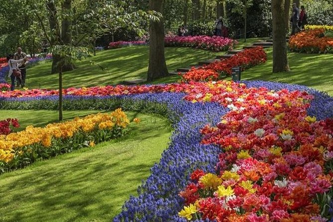 Private Tour to Keukenhof Gardens With Guide - Full Day Tour From Amsterdam - The Sum Up