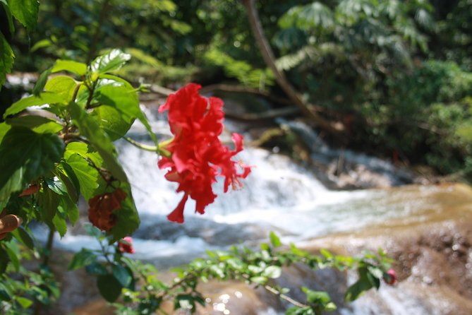 Private Tour to Mayan Palenque Pyramids and Two Waterfalls - Meeting and Pickup