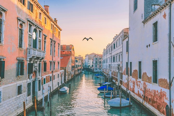 Private Tour: Venice Art and Architecture Walking Tour - Knowledgeable Guides