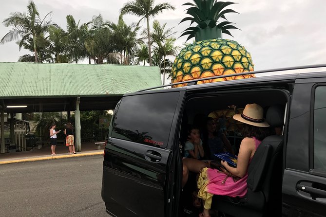 Private Transfer From Brisbane Airport to Noosa for 1 to 7 People/5 Medium Lugg - All Fees and Taxes Included