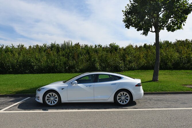 Private Transfer From Interlaken to Zurich Airport - Additional Services (optional)