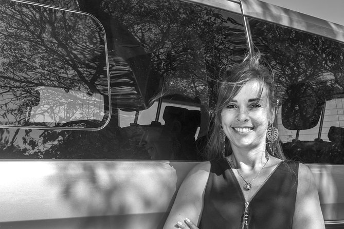 Private Transfer-From/To Toulouse Airport or City Center, To/From Carcassonne - Meeting and Pickup Arrangements