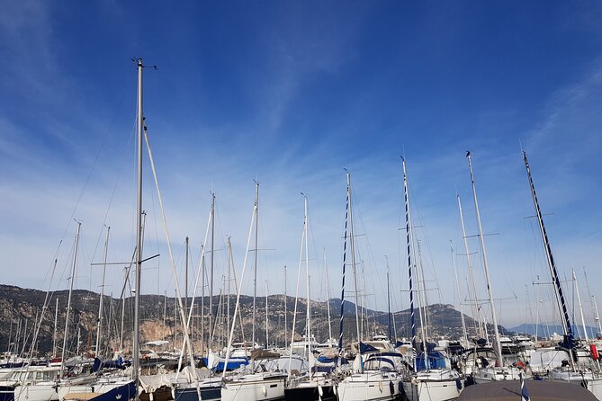 Private Transfer Nice Airport to Beaulieu-sur-Mer or Cap-Ferrat - Company Information