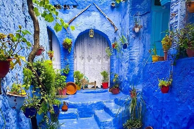 Private Transfer to Tangier via Chefchaouen From Fes - Booking and Contact Information