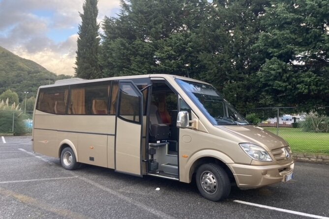 Private Transfer to Tunis/Carthage International Airport - Waiting Time for Airport Pick-up
