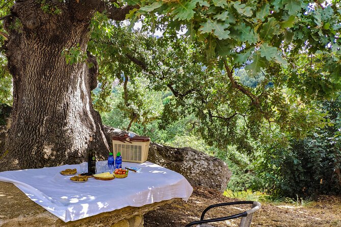Private Trip Through Heart of Crete & Wine Tasting From Heraklion - The Sum Up