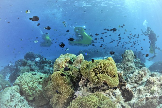 Private Underwater Scooter - Bottled Water and Snacks
