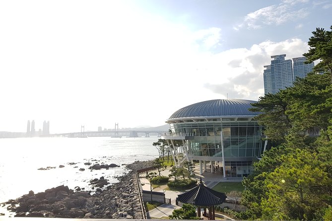(Private Vehicle) Busan Tailored Tour: Curation for Food,Design,History,Culture - Unraveling the Citys History