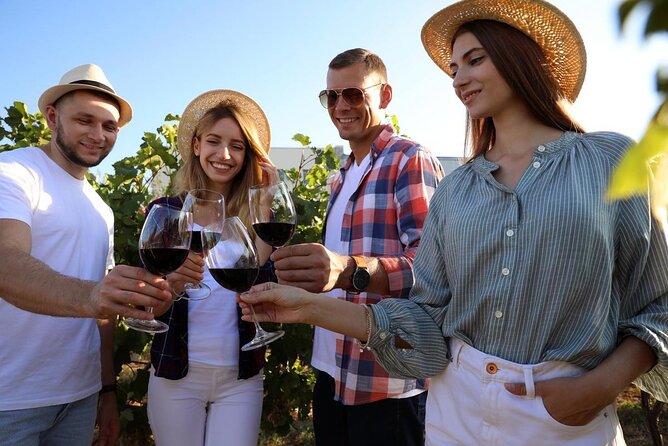 Private Vineyard Tour With Dinner Under the Stars in Karnas - The Sum Up