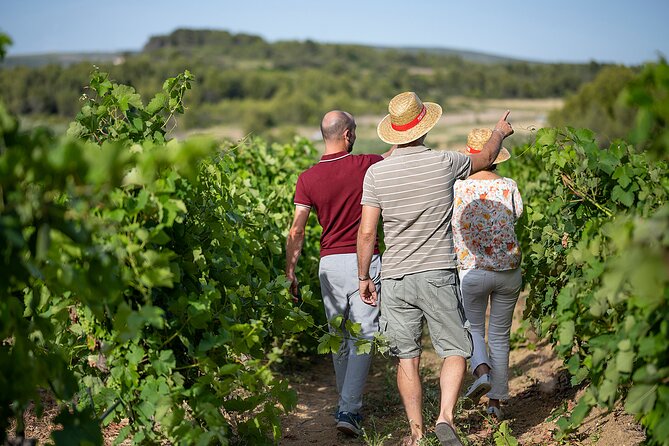 Private Vintage Car Half-Day Wine Tour in 2CV - The Sum Up