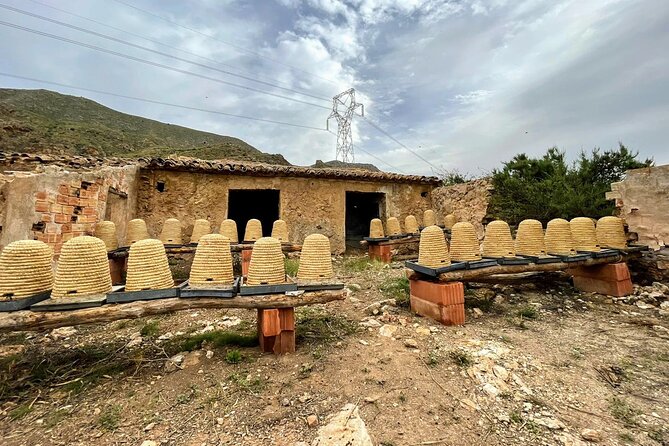 Private Visit to the Bees and Tasting in Ventosa, La Rioja - Cancellation Policy