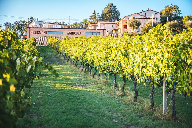 Private Visit to the Brugnoni Winery With Tastings - Traveler Photos and Featured Review
