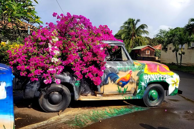 Private Waimea Canyon Tour - Highlights of the Tour