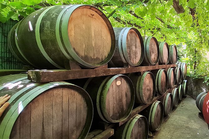 Private Walk In The Vineyards Of Collioure With Wine Tasting - Local Wine Production