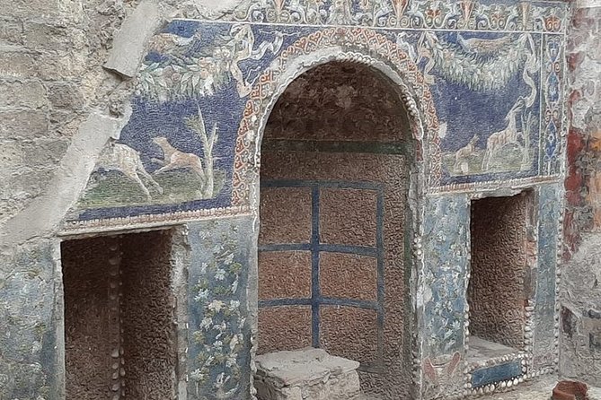 Private Walking Tour Through the Historical City of Herculaneum - Special Offer and Pricing Information